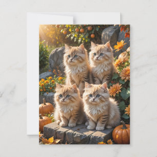 Vier flauschige Herbstkätzchen mit Pumpkins und Mu Postkarte