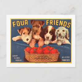 Vier Freunde Vintage Tomatenkassettenhunde Postkarte