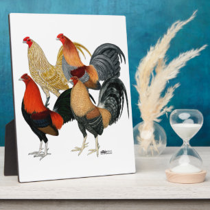 Vier Gamecocks Fotoplatte