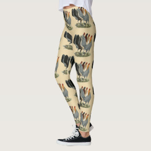 Vier Gamefowl Hennen Leggings