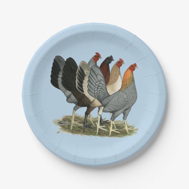 Vier Gamefowl Hennen Pappteller (Vorderseite)