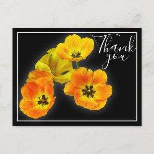 Vier gelb-orange Tulpen Schwarzer Hintergrund Dank Postkarte