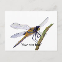 Vier-Gepunktete Chaser Dragonfly Wasserfarbe Postk