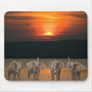 Vier glückliche Elefanten Mousepad