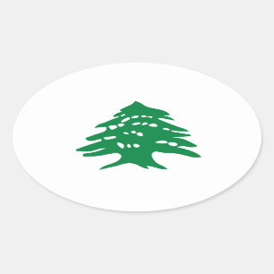 VIER grüner der Libanon Zedern-Baum Ovaler Aufkleber