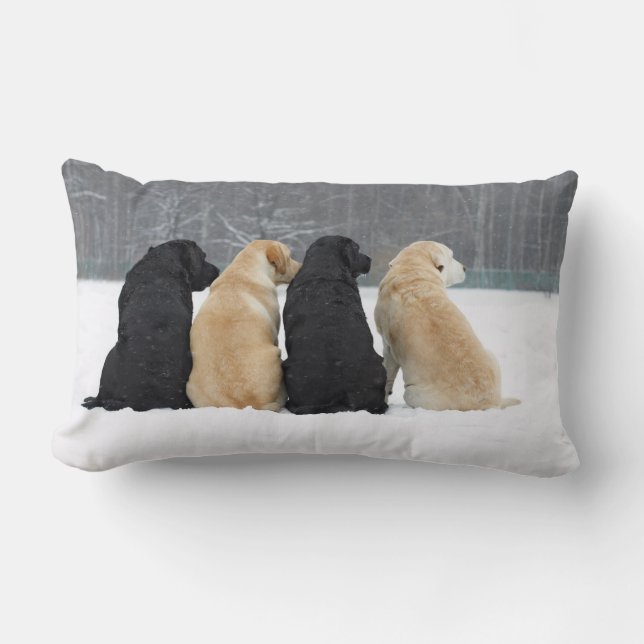Vier Hunde im Schnee Lendenkissen (Vorderseite)