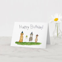 Vier Hunde mit Partyhüten Geburtstag