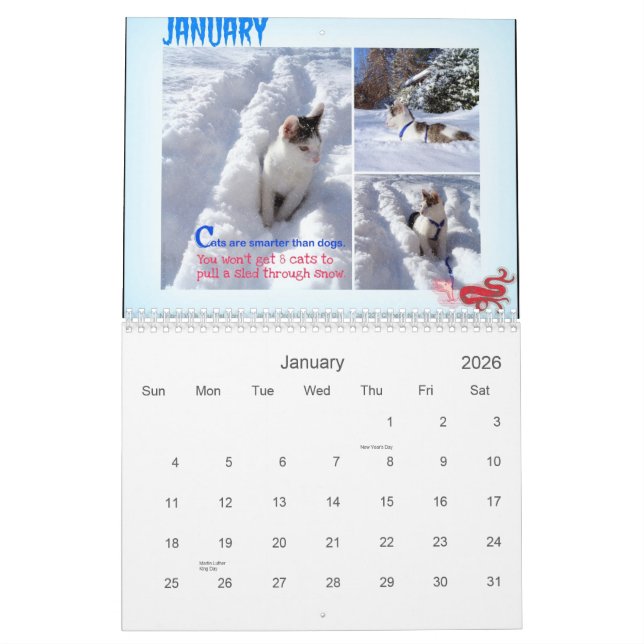 Vier Jahreszeiten von Katzen-Klugheit 101 Kalender (Jan 2026)