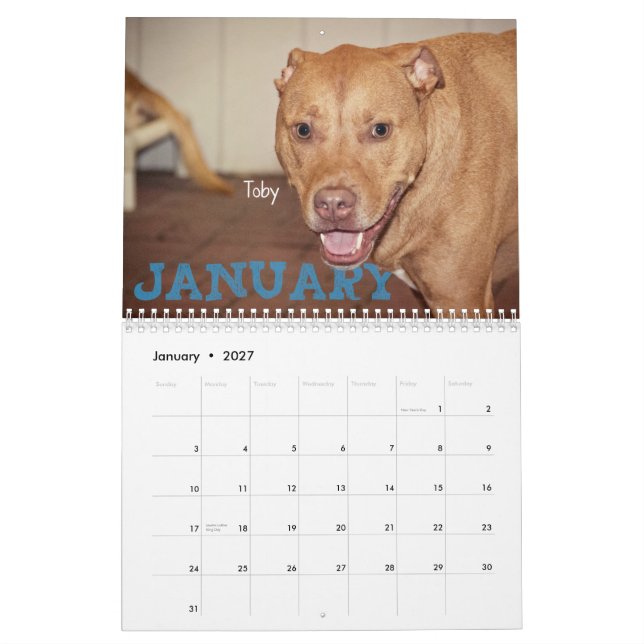 Vier Kalender der Tatzen-2014 (Jan 2027)