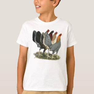 Vier Kampfhühner-Hennen T-Shirt