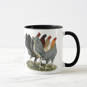 Vier Kampfhühner-Hennen Tasse