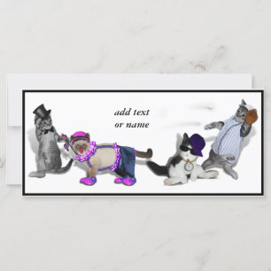 Vier Kätzchen im Spiel