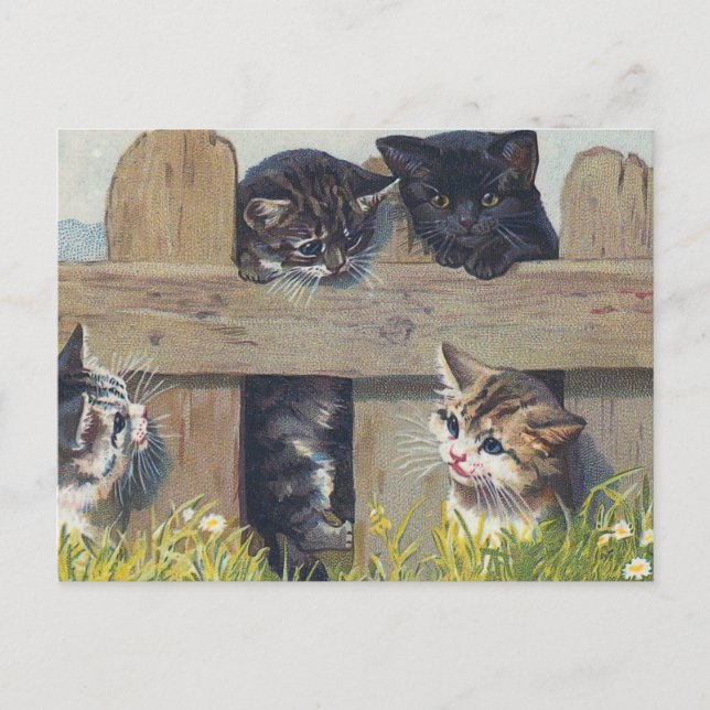 Vier Kätzchen spielen Vintage Illustration Postkarte (Vorderseite)
