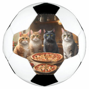 Vier Katzen für eine Pizzaabend Fußball