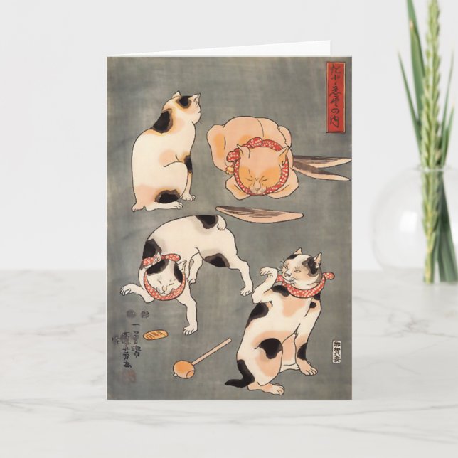 Vier Katzen in der unterschiedlichen Karte (Vorderseite)