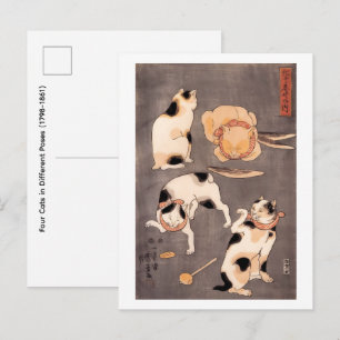 Vier Katzen in verschiedenen Posen (1798-1861) Postkarte