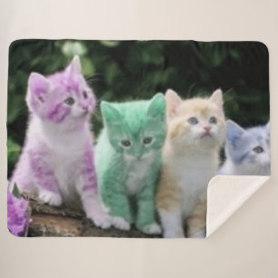 VIER KITTEN SHERPADECKE