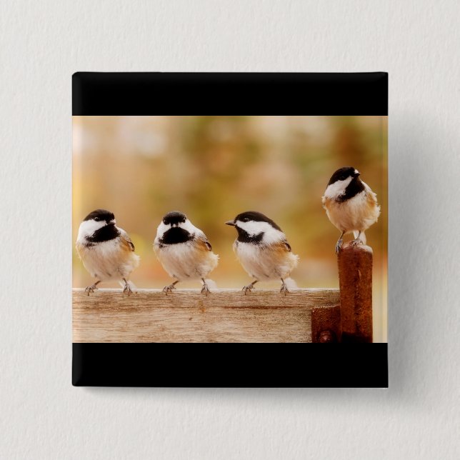 Vier kleine Chickadees Button (Vorderseite)