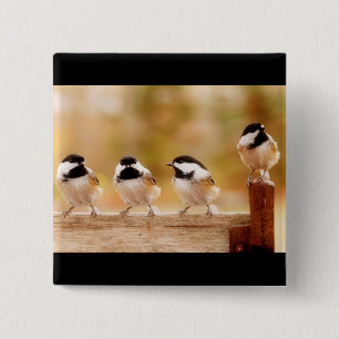 Vier kleine Chickadees Button