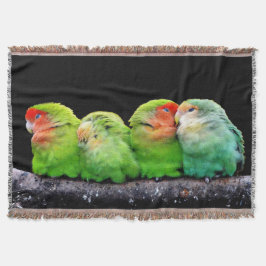 Vier kleine Kanaren Decke