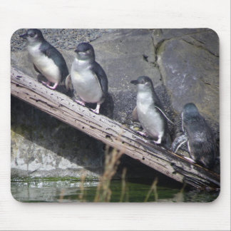 Vier kleine Pinguine Mousepad