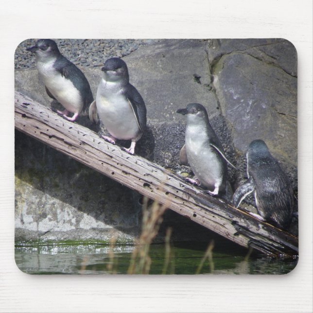 Vier kleine Pinguine Mousepad (Vorne)