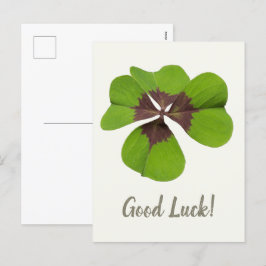 Vier Leaf Lucky Clover St Patricks Day Viel Glück Feiertagspostkarte
