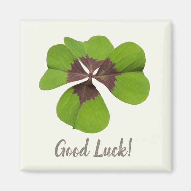 Vier Leaf Lucky Clover St Patricks Day Viel Glück Magnet (Vorne)