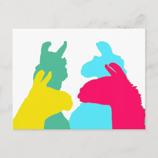 Vier Llamas in vier Lama-Farben - ein fett grafisc Postkarte