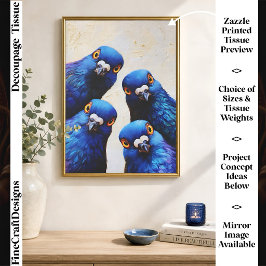 Vier lustige neugierige blaue Tauben Portrait FW7L Seidenpapier