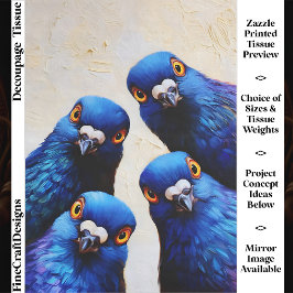 Vier lustige neugierige blaue Tauben Portrait FW7R Seidenpapier