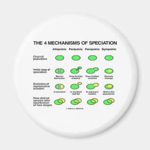 Vier Mechanismen Speciation (Evolution) Magnet