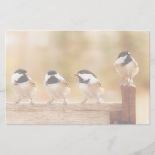 Vier niedliche Chickadees Briefpapier