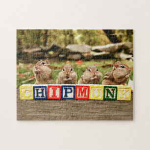 Vier niedliche kleine unverschämte Chipmunks