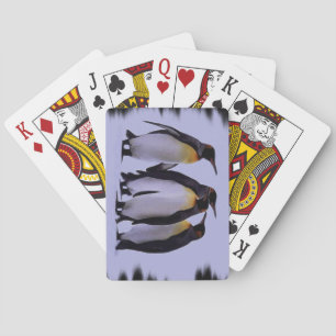 Vier Pinguine spielen Karten Spielkarten