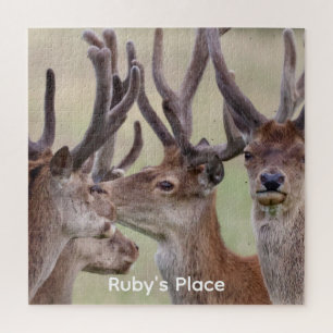 Vier rote Hirsche Wildlife-Foto personalisiertes P
