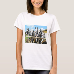 Vier schöne Pferde Tier T-Shirt