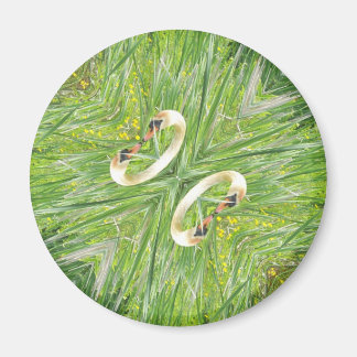 Vier Schwäne Kühlschrankmagnet