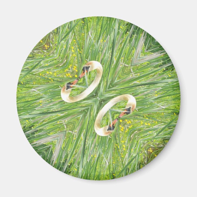 Vier Schwäne Kühlschrankmagnet (Vorne)