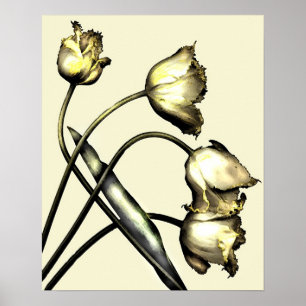 Vier Tulpen keine 2 Poster