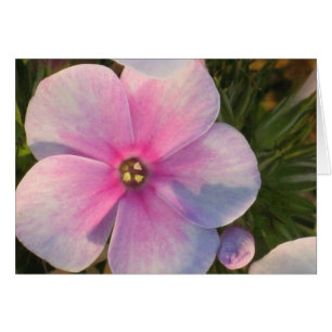 Vier Uhr-Blumen-Karte