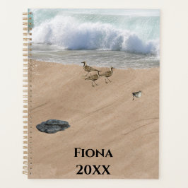 Vier Vögel am Strand Planer