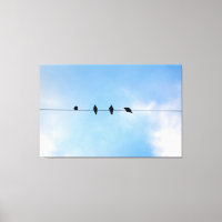 Vier Vögel auf einem Wire (Fotos von mir)