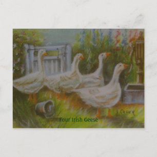 Vier von Joanne Casey Gezeichnet irische Gänsepast Postkarte