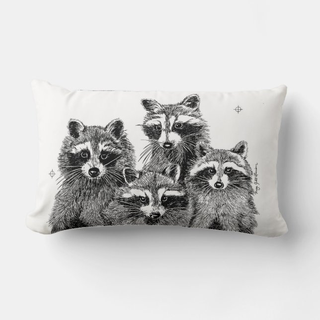 Vier Waschbär-Kissen Lendenkissen (Vorderseite)