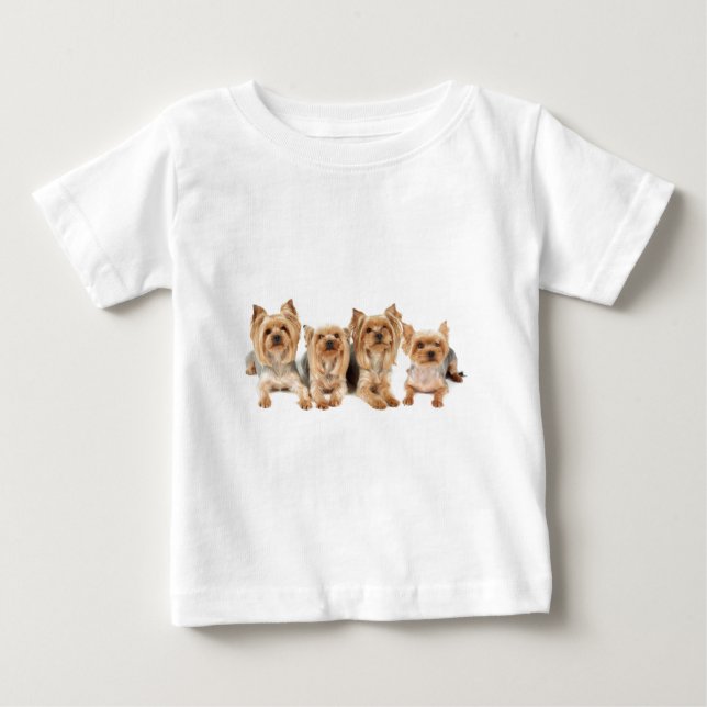 Vier yorkies baby t-shirt (Vorderseite)