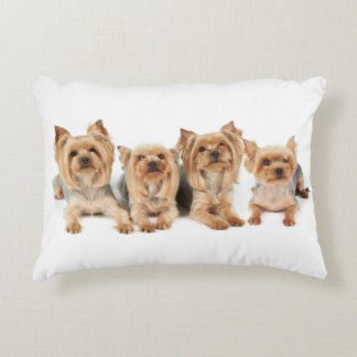 Vier yorkies dekokissen