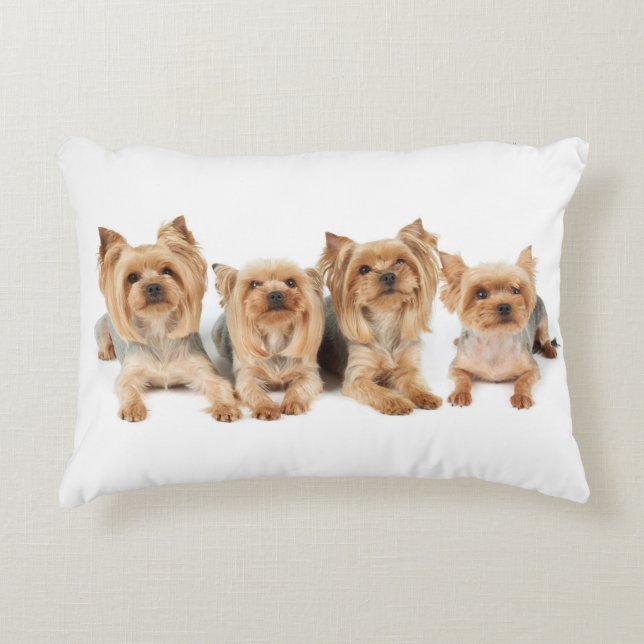Vier yorkies dekokissen (Vorderseite)