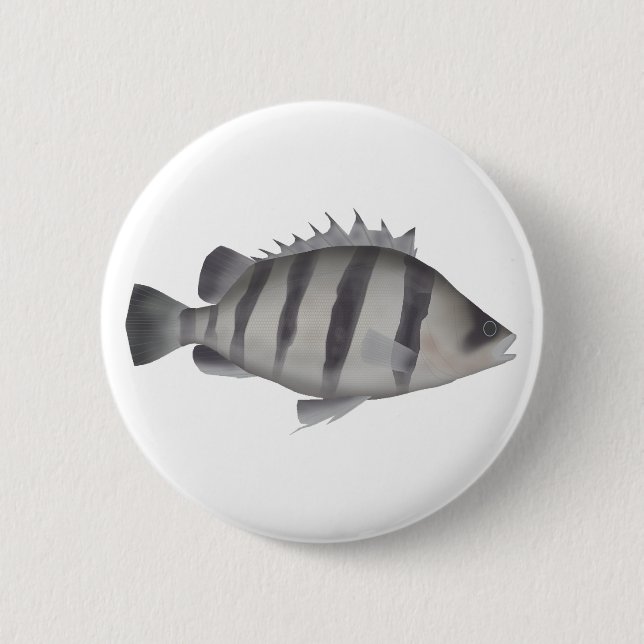 Vierbärtiger Tigerfisch Button (Vorderseite)