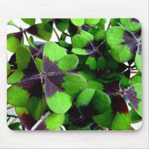 vierblättriges Kleeblatt Kleeblatt St. Patrick's L Mousepad